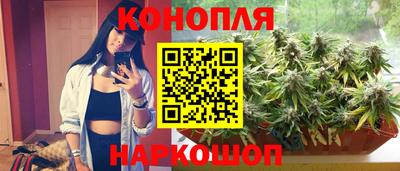 тгк Пугачёв