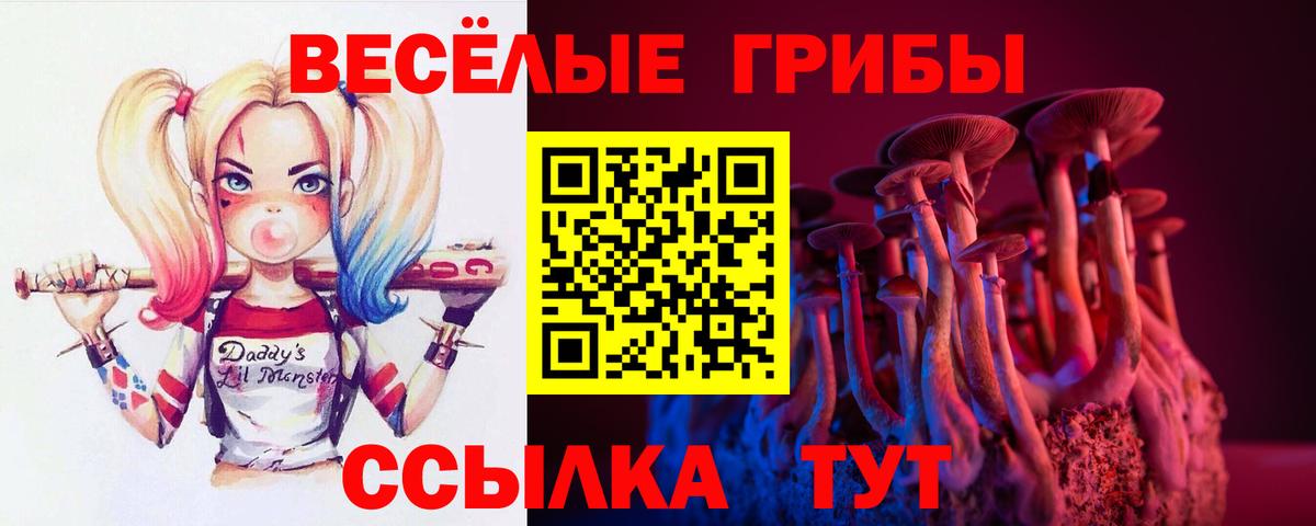 Псилоцибиновые грибы GOLDEN TEACHER Ртищево